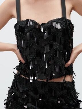 Zara Black Sequin Fringe Crop Top